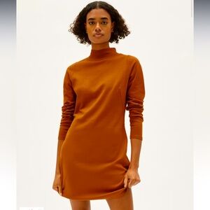 Everlane Women's Mini Dress in Rust